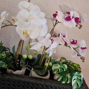 https://alloggio-orchidea-monfalcone.hotelslidodijesolo.com